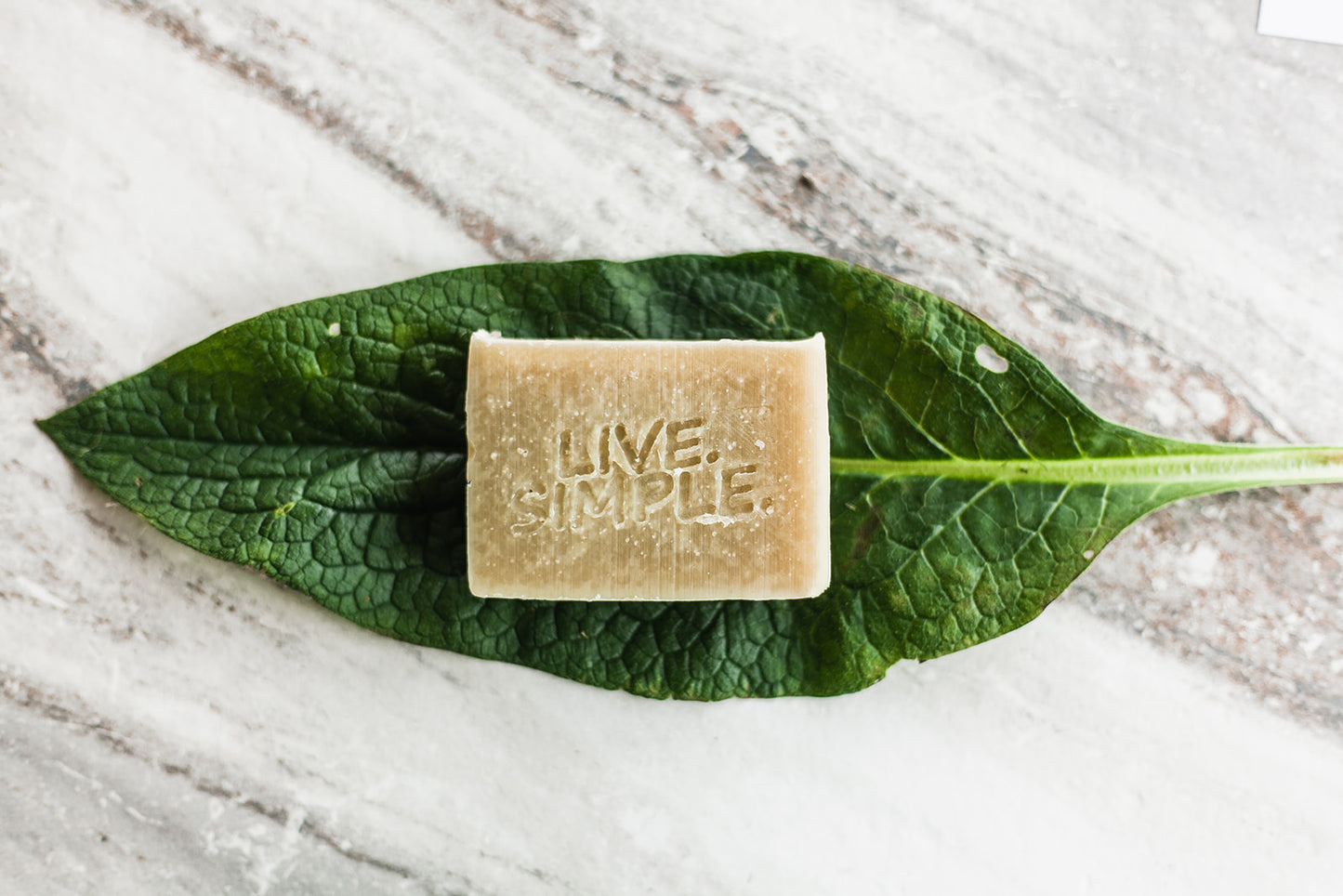 Goat Milk Soap with Cypress + Fir