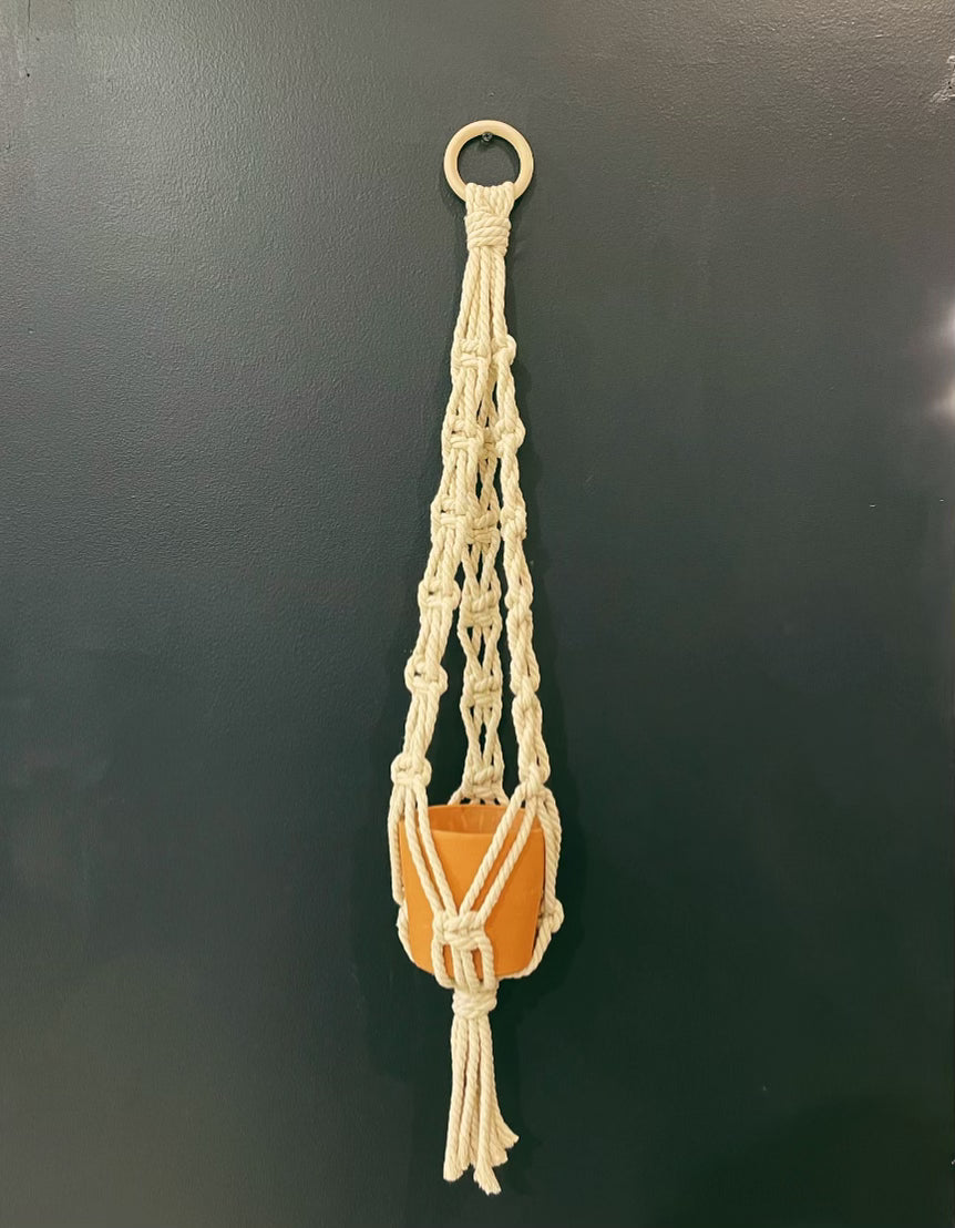 Plant Hanger