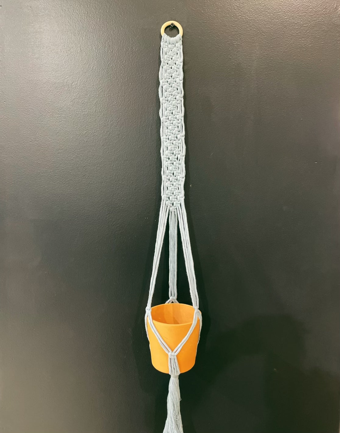 Plant Hanger