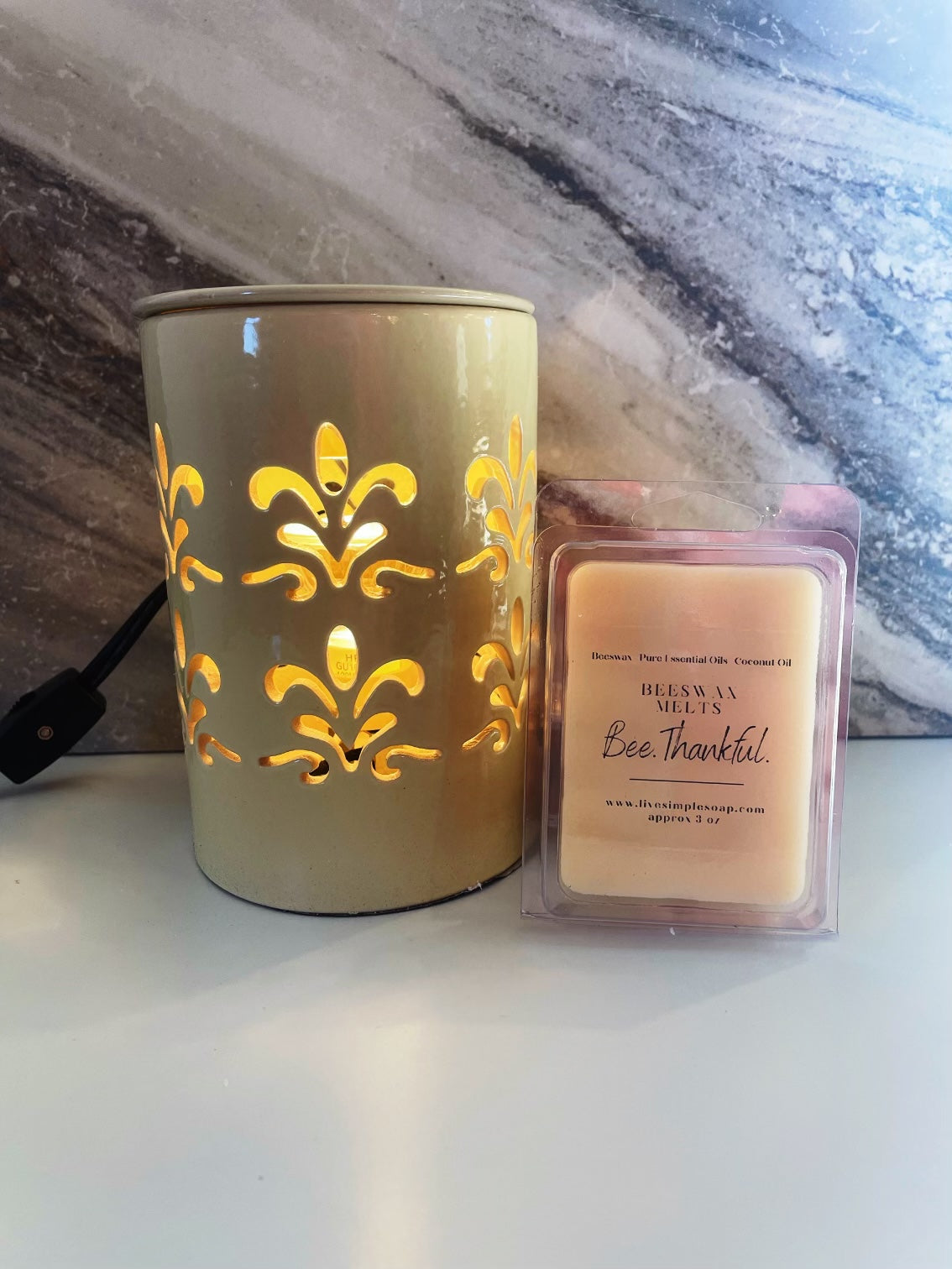 Wax Melter